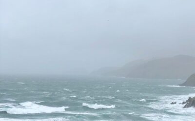 A Fog of Uncertainty